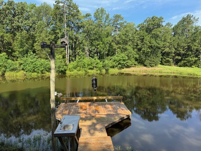 View of the dock from the bank
