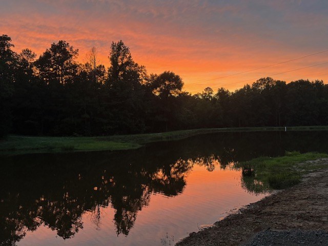 Evening view across the pond