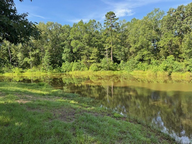 South view across the pond